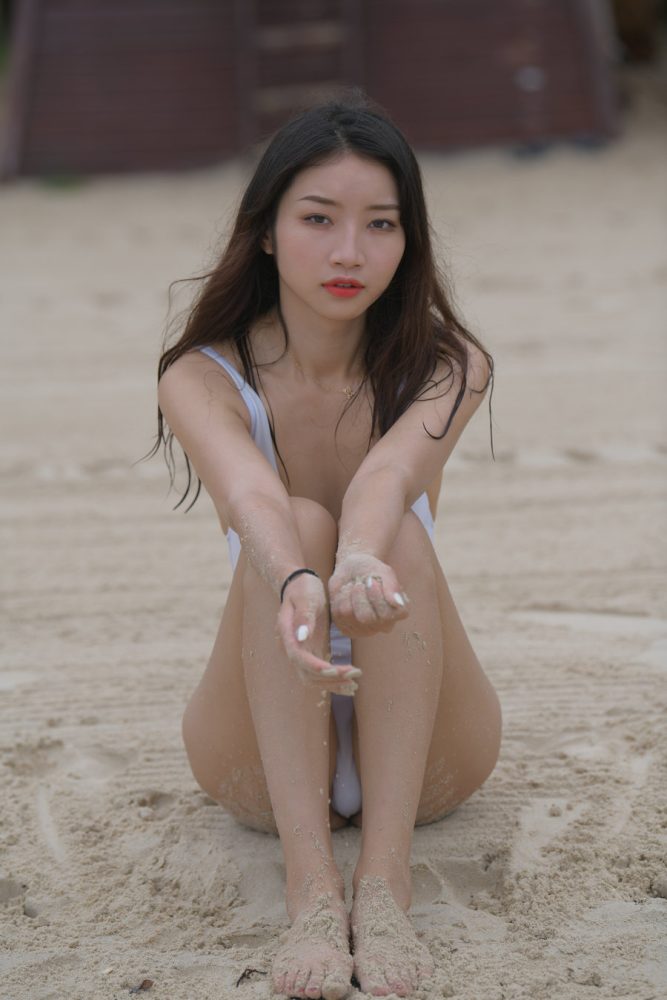 J1223 658P3V-20.3GB-灰麻雀