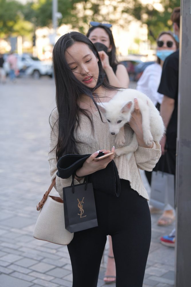 抱着小狗的漂亮女孩 J2106 136P-3.25GB-灰麻雀